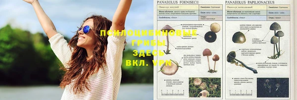 молекула духа Абдулино