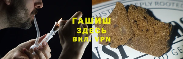 прущие грибы Абинск
