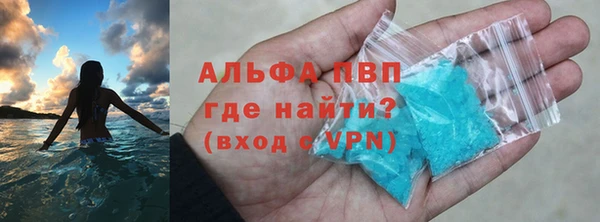 прущие грибы Абинск