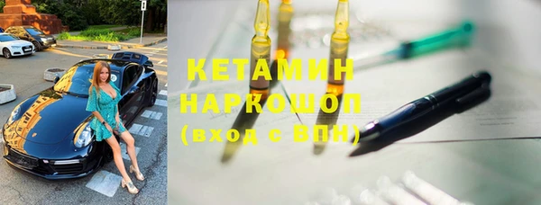 прущие грибы Абинск