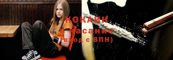 ПСИЛОЦИБИНОВЫЕ ГРИБЫ Алзамай