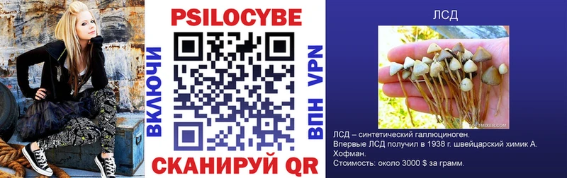 Псилоцибиновые грибы прущие грибы Темников